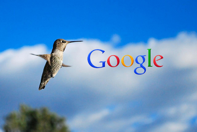 hummingbird SEO