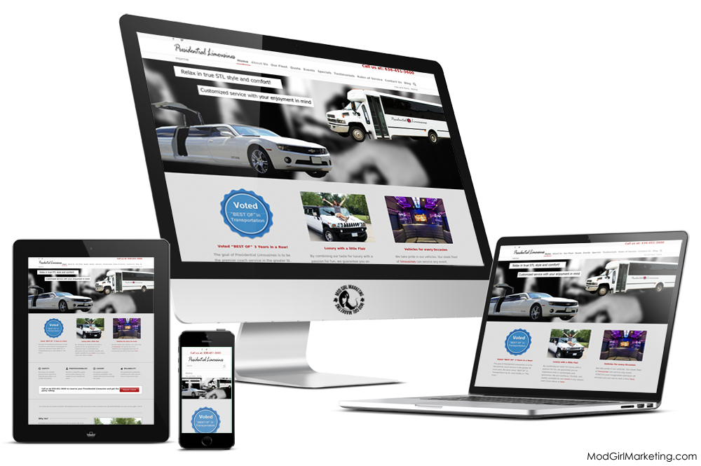 Limousine Web Design Services