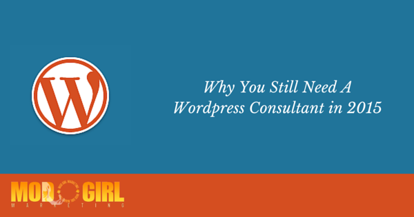 Wordpress Consultant