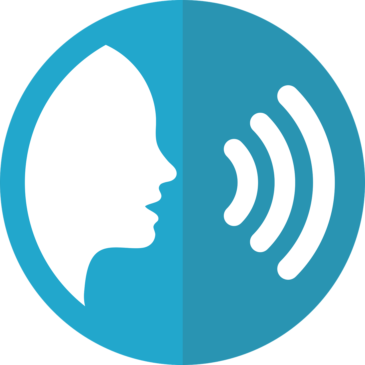 Prepare to Implement Voice Search Capabilities